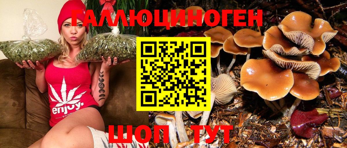 Псилоцибиновые грибы мицелий Урай