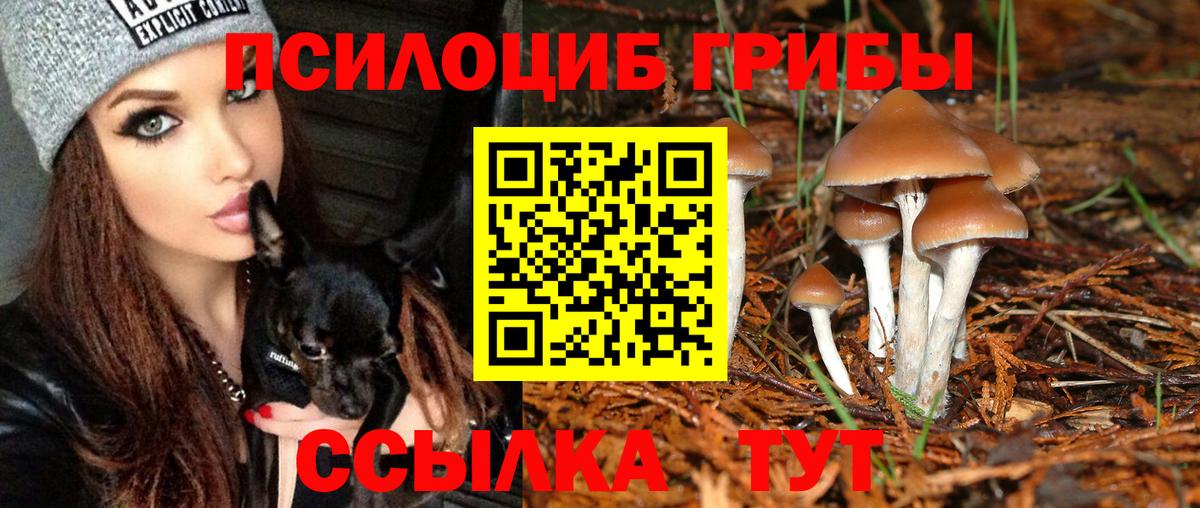 Урай  Галлюциногенные грибы мицелий  Вход с VPN 